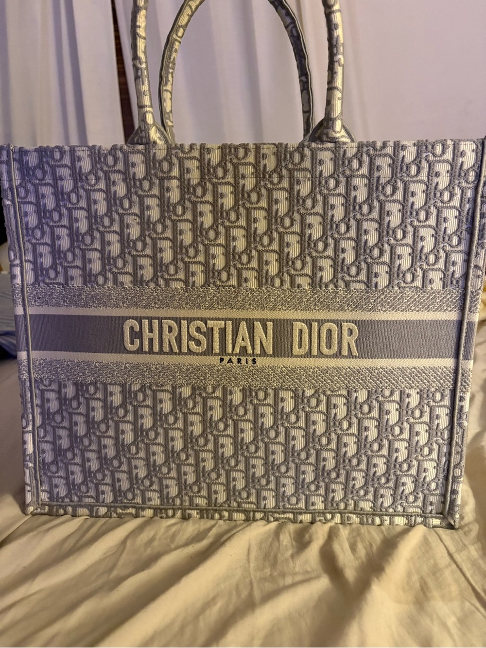 Dior Christian Dior Tote in Light Blue and Cream Dior Oblique